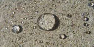 Water Repellant Coating