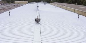 Metal Roof Protecting Services