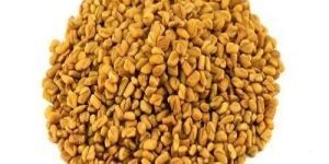 Fenugreek Seed