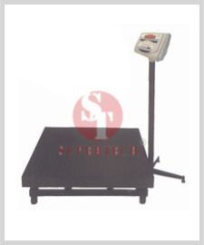 Heavy Duty Platform Scale