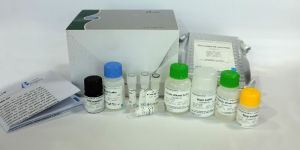 Elisa Kits