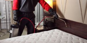 Bed Bug Control Service