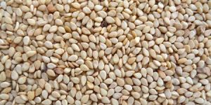 Natural Sesame Seeds