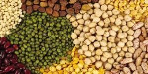 Organic Pulses