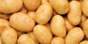 Potato