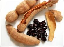 Tamarind Seed