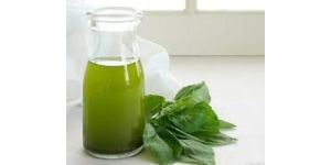 Basil Oil / Tulsi Oil