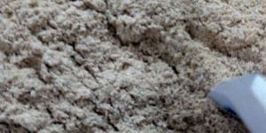 Rice Husk Powder