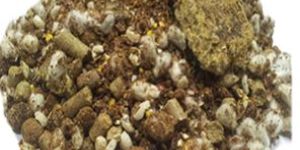 Buffalo Bosster Animal Feeds