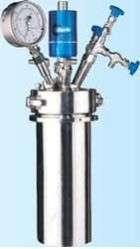 High Pressure Reactor