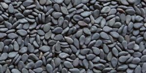 Black Sesame Seeds