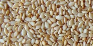 Natural Sesame Seeds