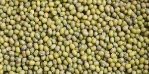 Whole Moong Dal