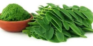 Moringa Leaf Powder