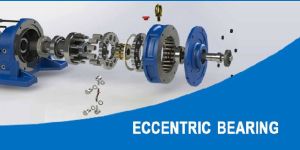 Eccentric Bearing