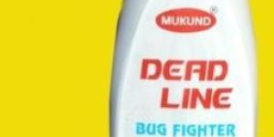 Bed Bug Spray