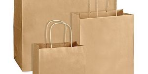 Brown Paper Bag