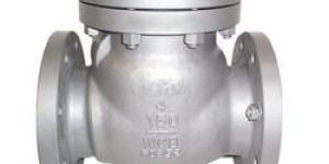 Check Valve