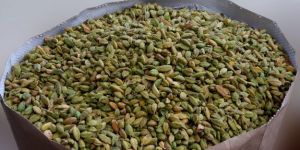 Cardamom