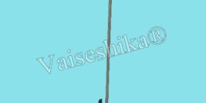 Swivel Head Thermometer