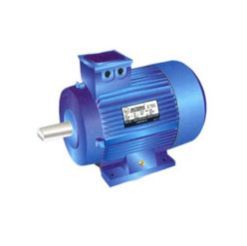 Three Phase Motors
