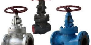Globe Valve