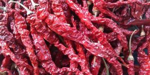 Dry Red Chilli