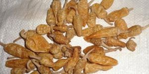 Gundu Milagai Vathals Excess Salt