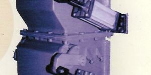 Double Flapper Valve