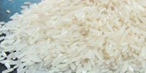 Non Basmati Rice