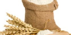 Wheat Flour