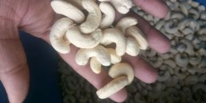 Cashew Nuts