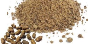 Jamun Powder