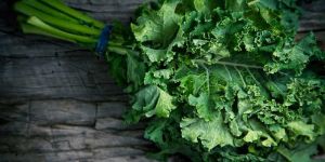 Fresh Kale Leaves