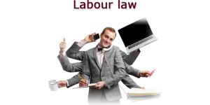Labour Law Consultant Services