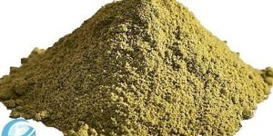 Coriander Leaves Powder