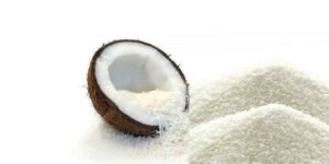 Desiccated Coconut Powder