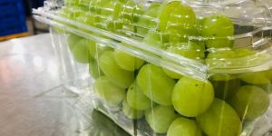 Fresh Grapes