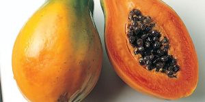 Fresh Papaya