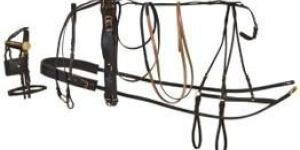 Horse Driving Harness