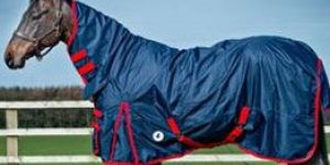 Horse Rein Rugs