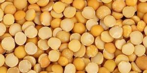 Matar Dal