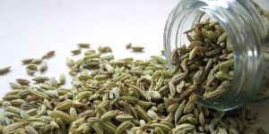Fennel Seed