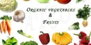 Organic Fruits & Vegetables