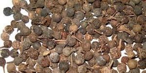 Kabab Chini