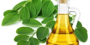 Moringa Seed Oil
