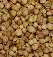 Eagle Quality Coriander Seeds