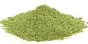Moringa Powder
