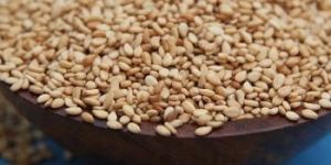 Sesame Seed