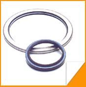 Automotive Scraper Seals